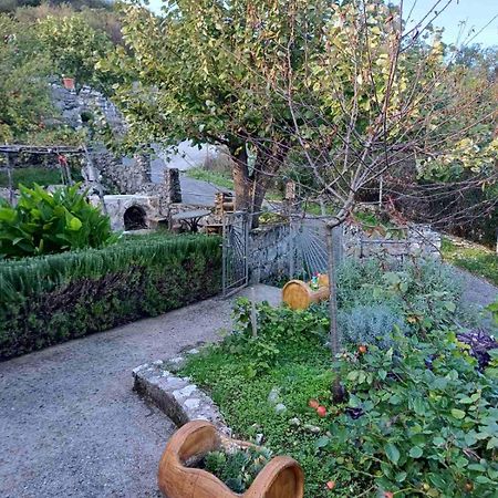 Country House "Lipa" Komarno Virpazar Exterior photo