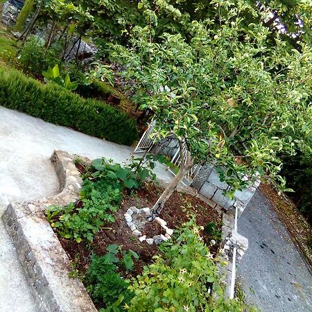 Country House "Lipa" Komarno Virpazar Exterior photo