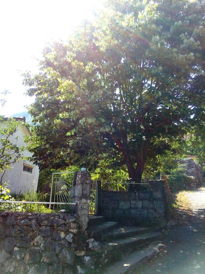 Country House "Lipa" Komarno Virpazar Exterior photo