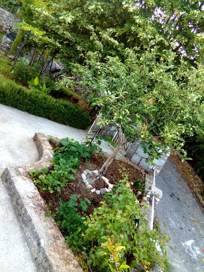 Country House "Lipa" Komarno Virpazar Exterior photo